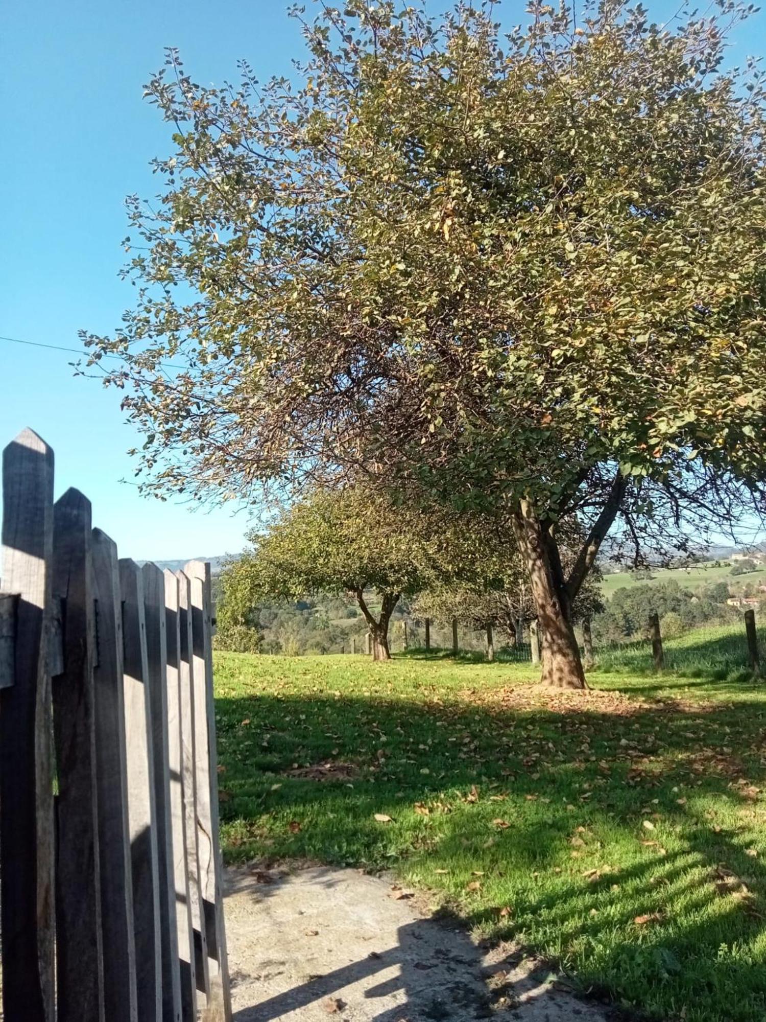 Casa Boni Y Florina Villa Nava Eksteriør billede